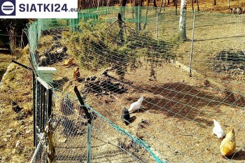Siatki Limanowa - Siatka na woliery - zabezpieczenia ptaków w hodowli dla terenów Limanowej